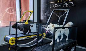 ОАЕ oтвори първия в света кучешки фитнес