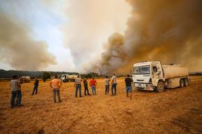 Овладян е пожарът в Чанаккале, съобщи турският министър на земеделието