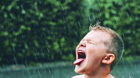 Ново изследване: Дъждовната вода е опасна за пиене