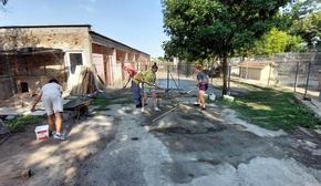 Доброволци облагородиха и разкрасиха Общинския приют за животни “Тонка Петрова”