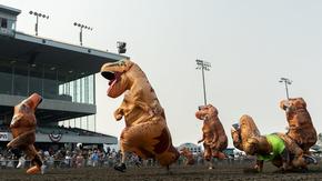 Над 200 души, облечени в костюми на тиранозаври, се състезаваха на писта за конни надбягвания в САЩ