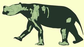 Огромно торбесто животно е живяло в Австралия преди 3,5 милиона години