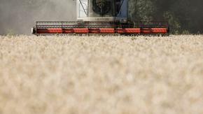 Киев и Москва ще преговарят за износа на зърно през Анкара