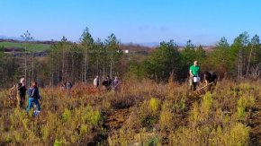Еколози, студенти и горски залесиха 60 дка в ДГС - Преслав