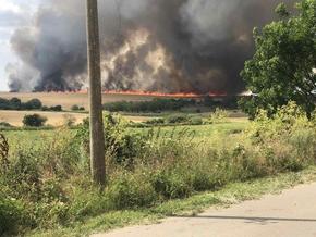 700 декара жито изгоряха при пожар край Сини вир