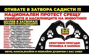 Организират в Шумен протест срещу насилието над животни