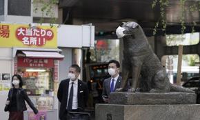 Най-вярното куче в света, Хачико, става на 100 години