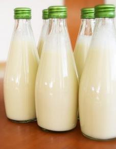 Пълномаслените мляко, сирене и сметана снижават риска от смърт с 30%