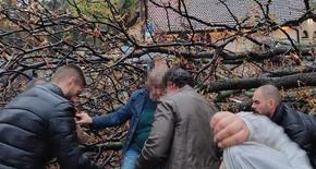 Над 40 сигнала заради бурята, жена е с фрактури от паднал клон в Градската градина