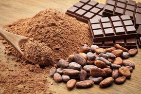 Експерти: Натуралното какао е суперхрана за мозъка