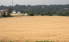 Цената на земеделската земя в Шуменско расте – достигна 1 185 лв. за декар