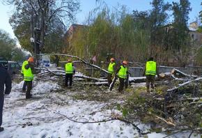 Служители на СИДП продължават да разчистват паднали дървета и клони в населените места и по пътната мрежа.