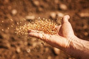 ООН и Русия ще обсъдят удължаването на срока на зърнената сделка