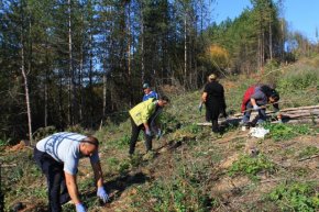 Залесяват 80 декара нова гора край село Ловец