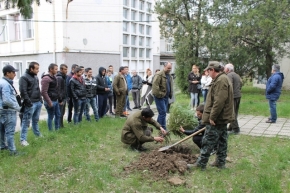 Лесовъди подариха ела на гимназията по селско стопанство във Велики Преслав