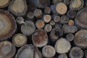 Каруца с незаконни дърва откриха в двор в село Иваново