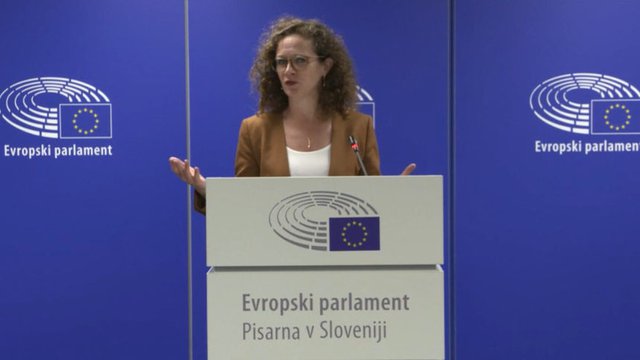 © snapshot webstreeming.  София инт'Велт дава брифинг след визитата на мониторинговата група на Европейския парламент в Словения.