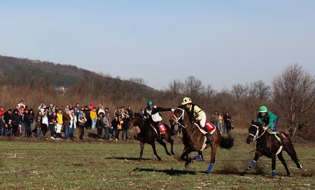На Хиподрума ще бъде изградена писта за 16 състезателни коня.Снимка: архив.