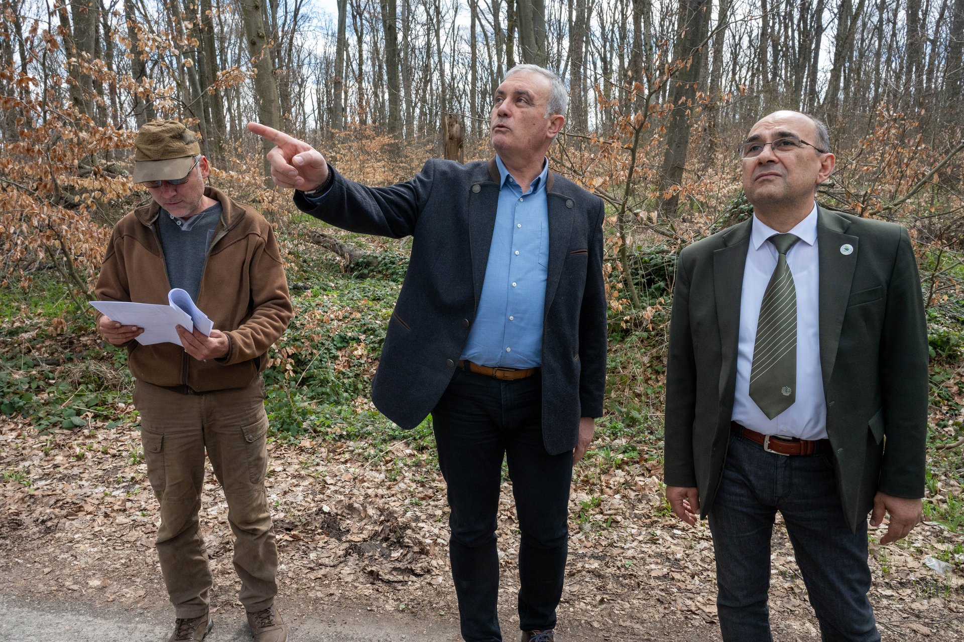 Гората боледува: Санитарната сеч на Шуменското плато ще продължи