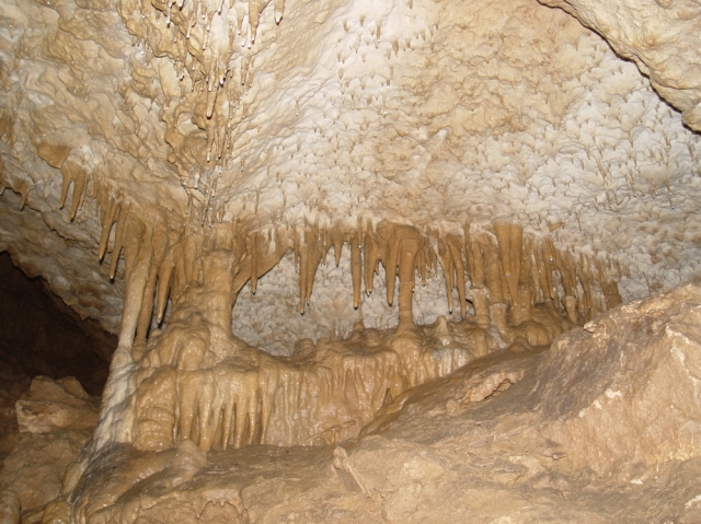 Пещера "Бисерна", Снимка: ПП "Шуменско плато"