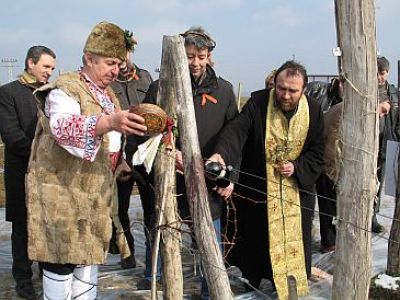 Сн. БГНЕС