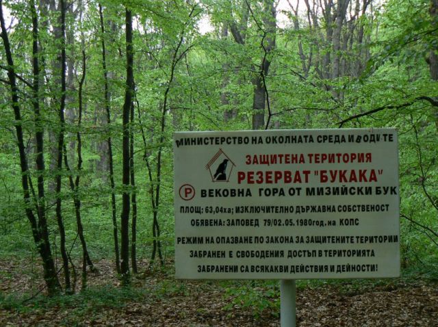 Снимка: Интернет