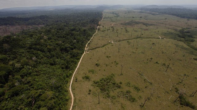Бразилия, в която има много силно обезлесени райони, е и сред страните, най-подходящи за осъществяването на подобен план, се казва в доклада. © Associated Press
