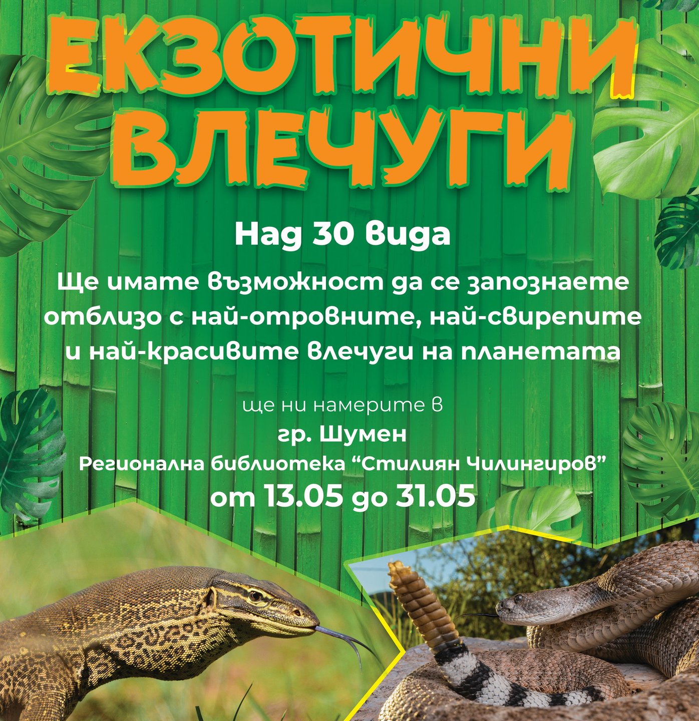Плакат: РБ "Стилиян Чилингиров"