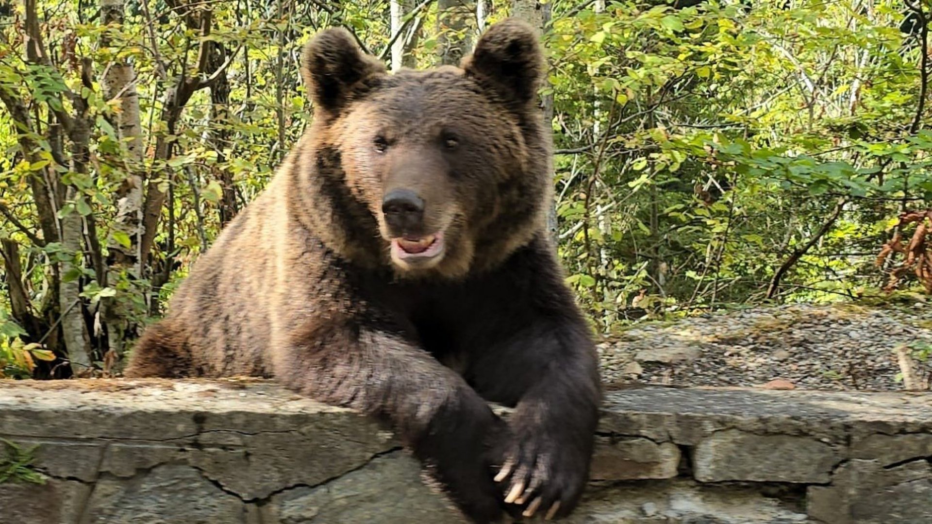 Снимка: Facebook