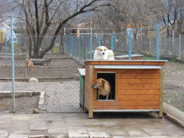 Снимки: НКЦ