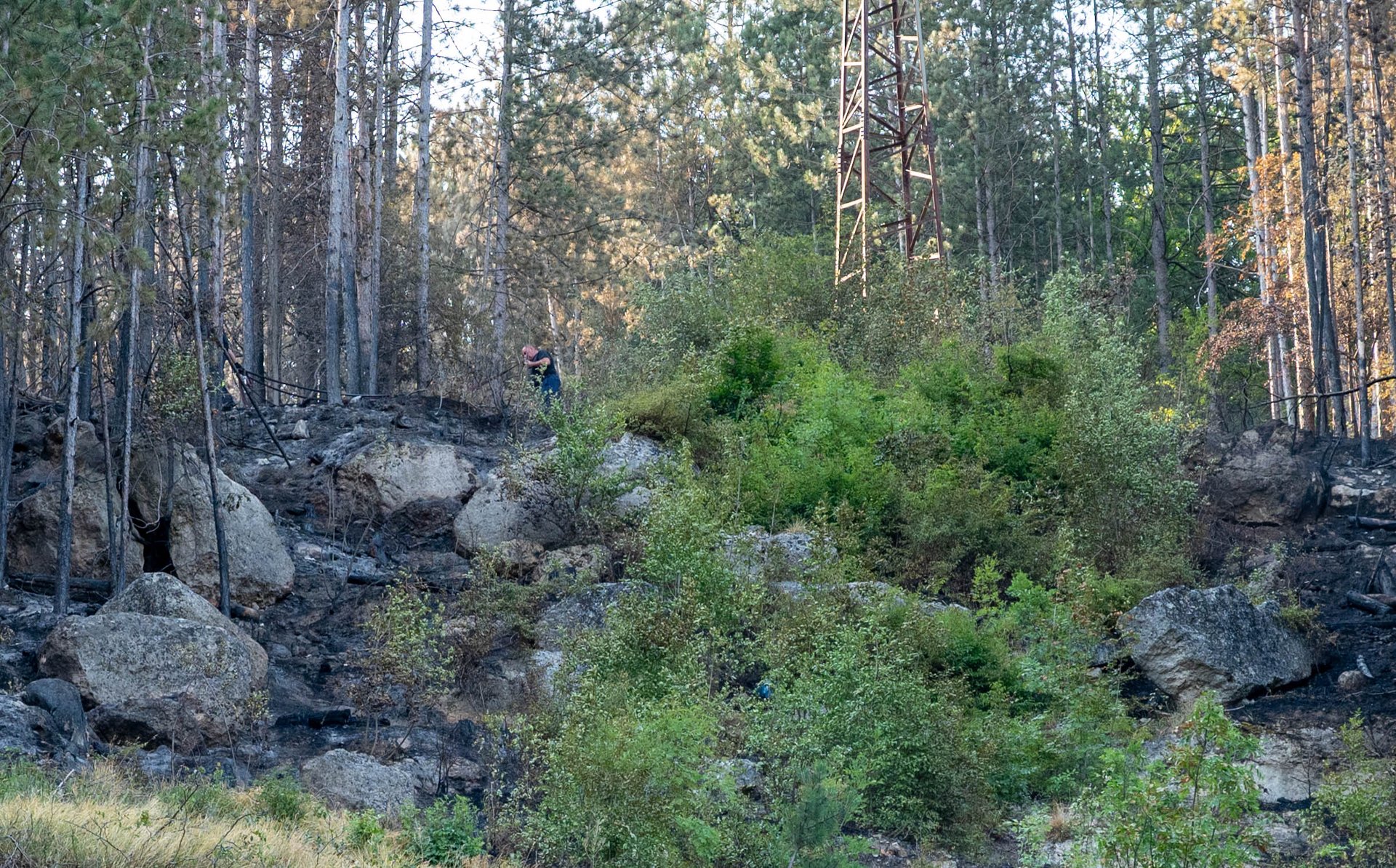 Огнеборци все още дежурят в района