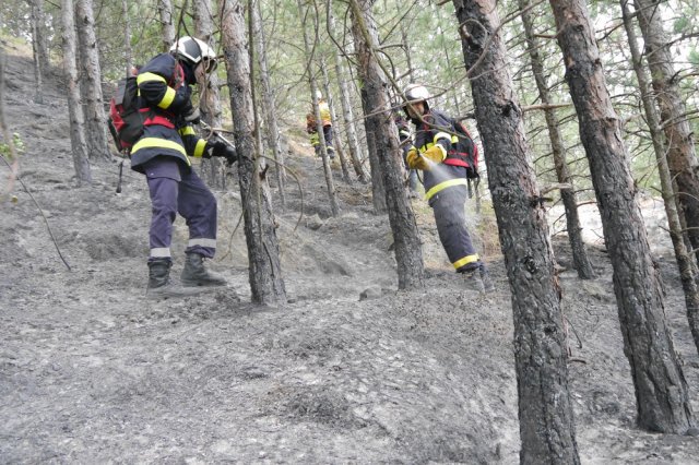 20 горски пожара са станали през 2021-ва на територията на СИДП