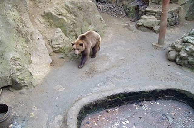 Зоопарка в Айтос