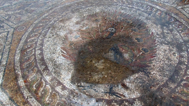 Удивително запазена върху 300 кв.м. мозайка откриха археолозите при разкопки на Голямата раннохристиянска базилика.