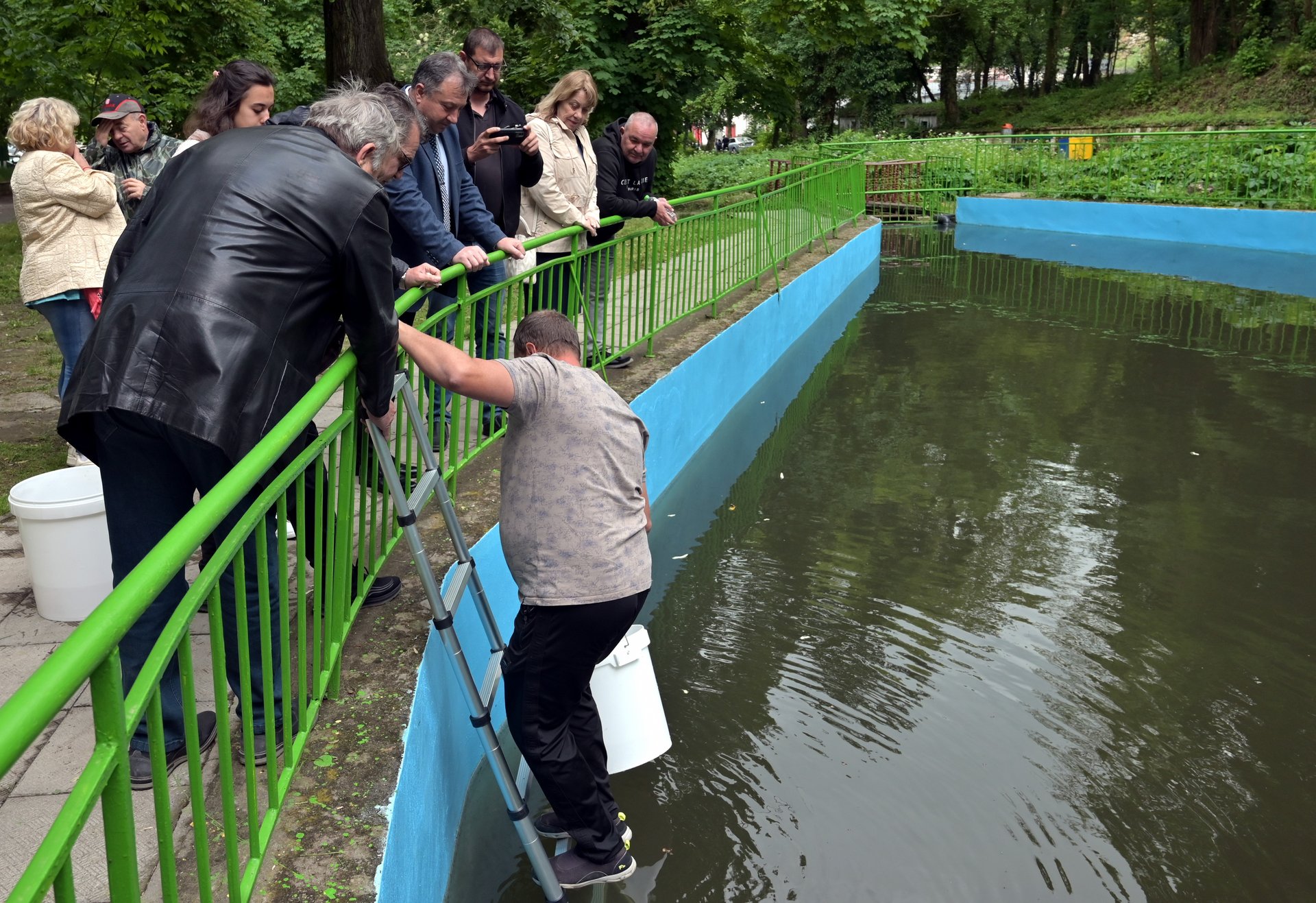 Пуснаха 140 декоративни шарана „кои“ в езерцето на парк „Кьошкове“
