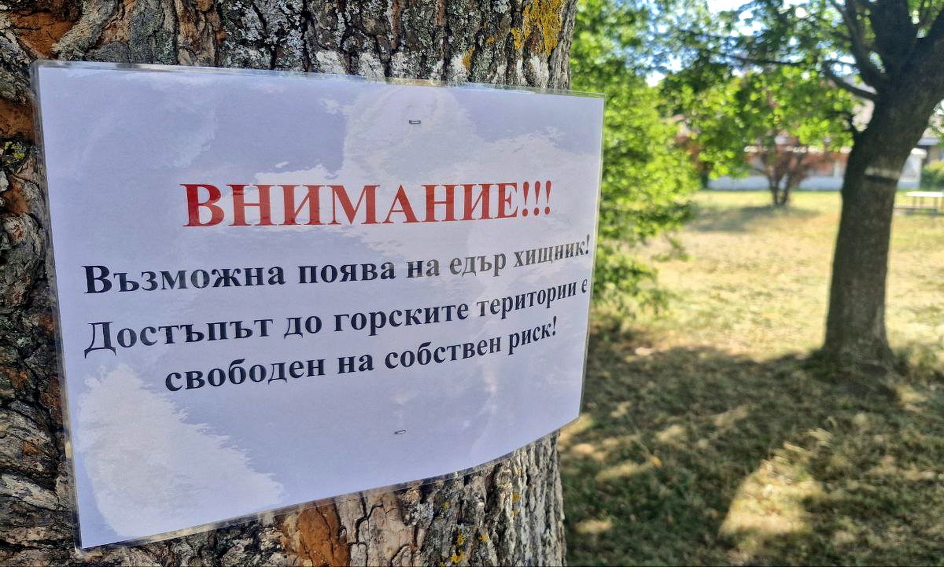 Снимка: архив