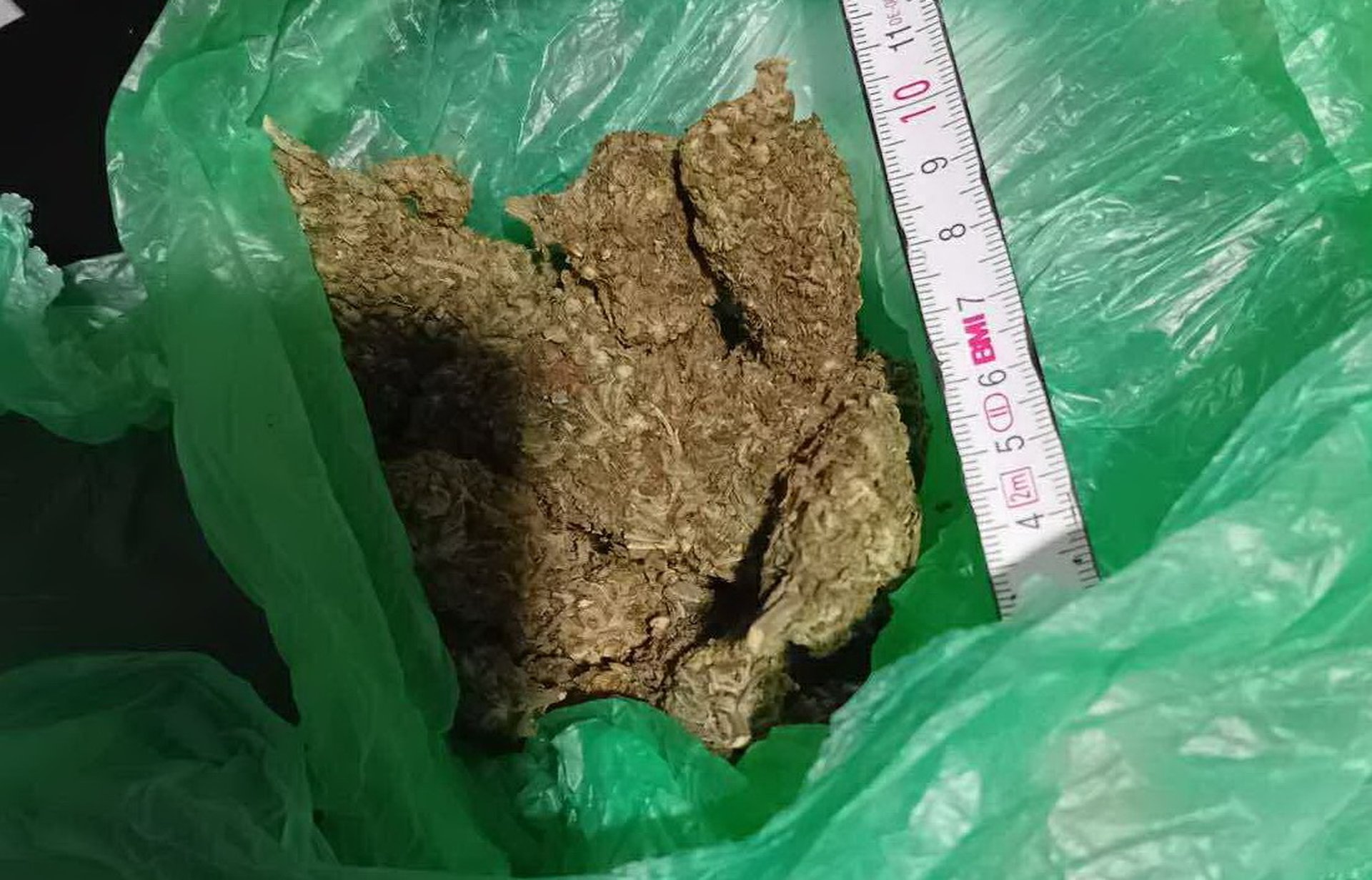 Снимка: ОД на МВР-Шумен