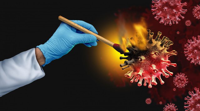 Снимка: iStock by Getty Images