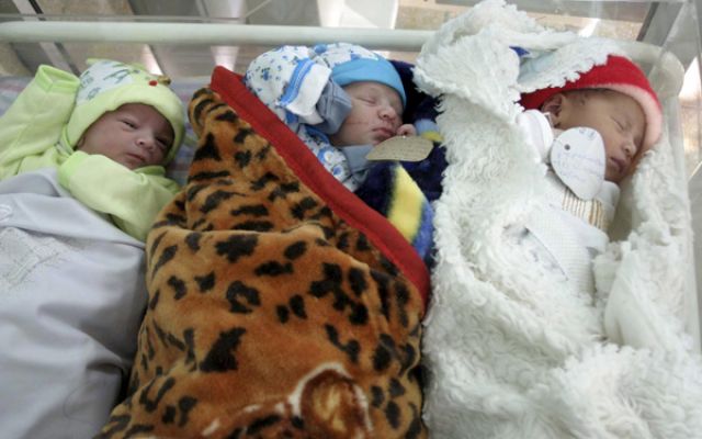 Сн.: БГНЕС (архив)