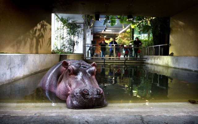 Сн.: БГНЕС (архив)