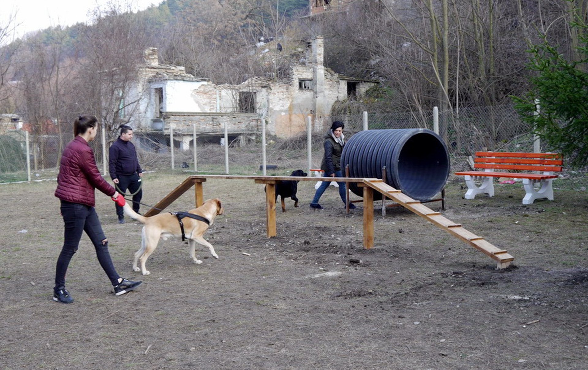 Вдигат двойно такса куче в Шумен