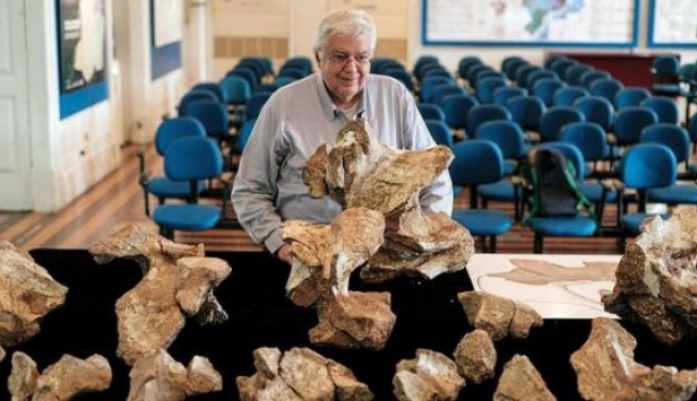 Директорът на музея Диоженес де Алмейда Кампос с фрагментите от шийни прешлени на австропосейдон. Снимка: gerente.com