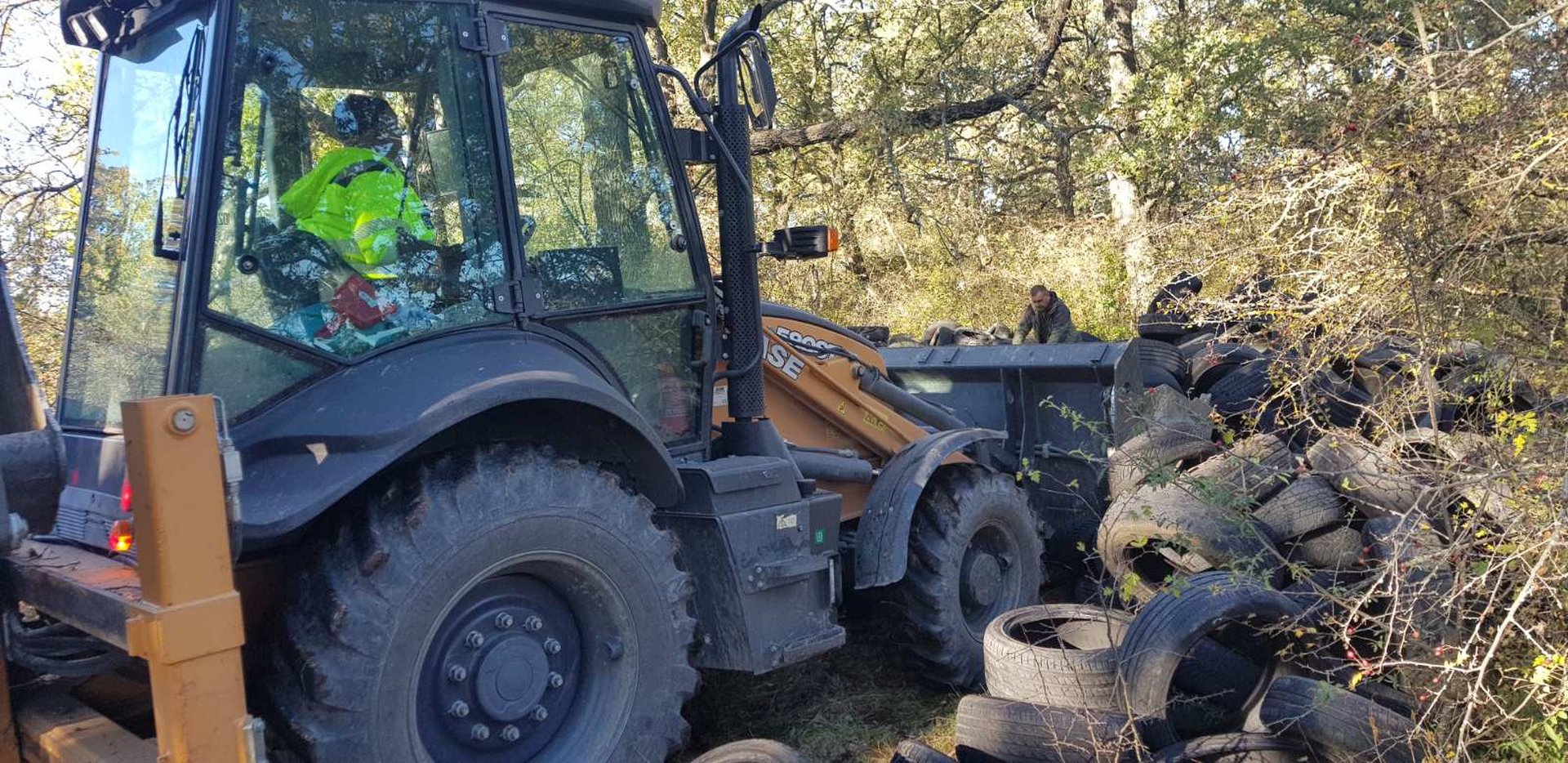 Снимка: СИДП