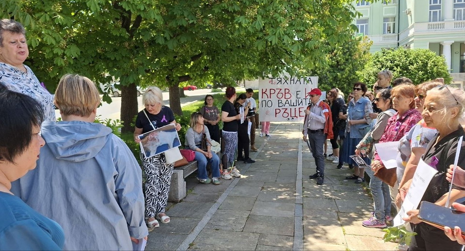 Протест в Шумен в защита на животните: Искат зоополиция и строги наказания