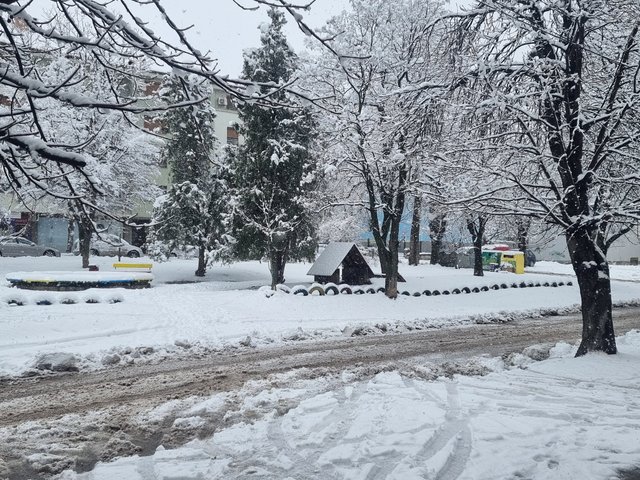 Снежната покривка, която достигна малко над 20 сантиметра в Плевенско, ще се задържи.  Снежната покривка, която достигна малко над 20 сантиметра в Плевенско, ще се задържи. Снимка: БТА