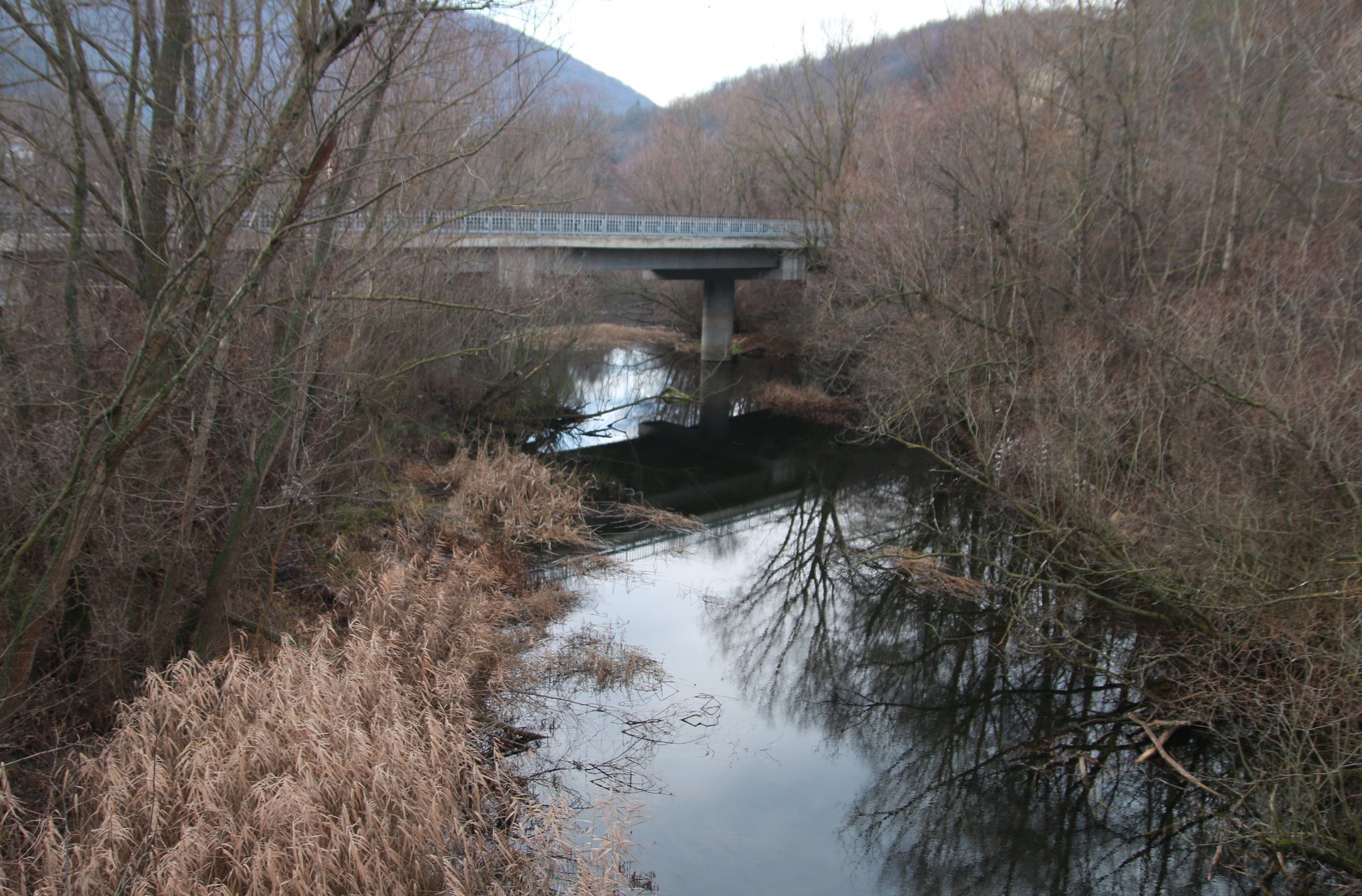 Река Камчия, снимка: архив.