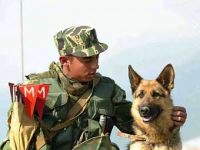 Снимка: lenta.ru