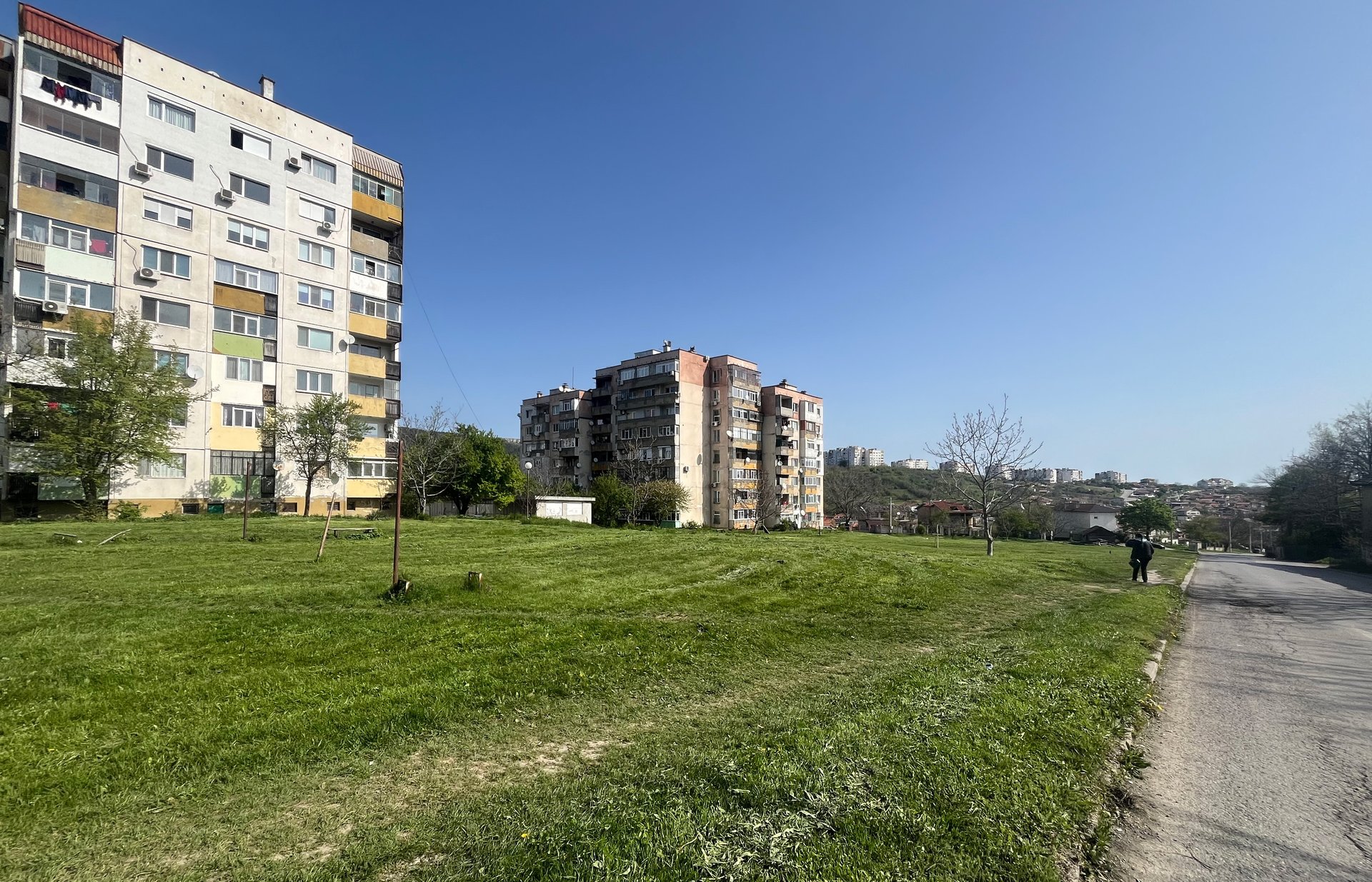 Зелени мерки в градска среда: Нови 1 912 дървета и 49 418 храста в Шумен по проект за 7 млн. лв.