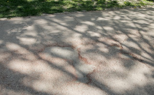 Цветният асфалт в Градската градина на места е силно изронен
