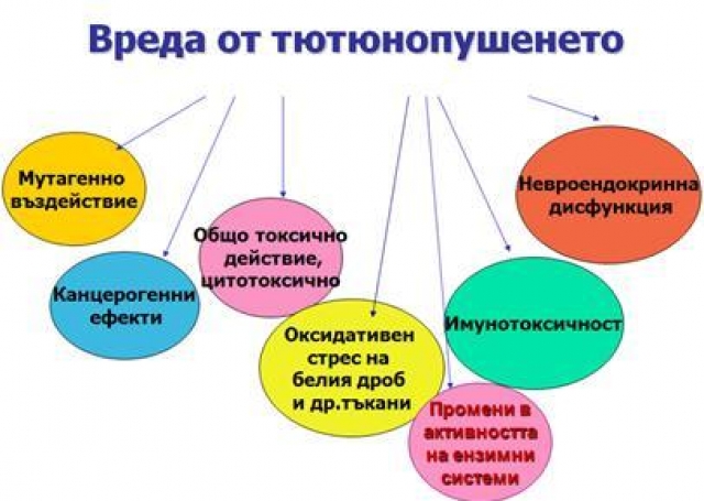 Сн. Интернет